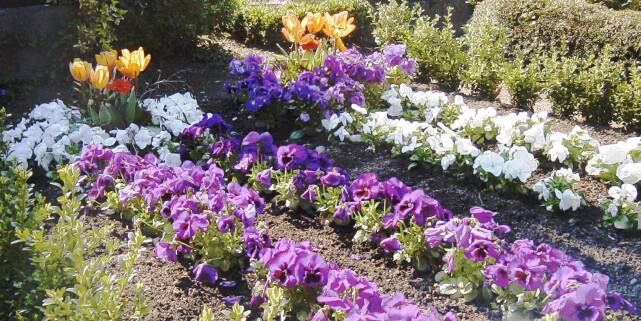 Grab mit Blumen