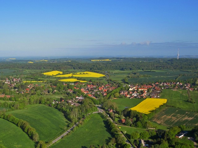 zur Zeit der Rapsblte