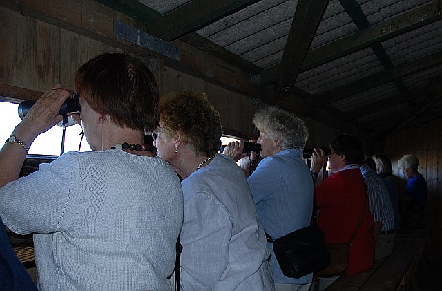 Beobachtungsstand - Foto: Hergen Köhnke