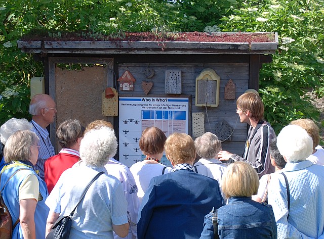 Vor dem Bienenerdwall - Foto: Hergen Köhnke